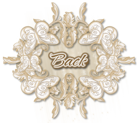 back.png - 12288 Bytes